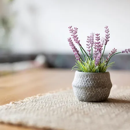 Prázdninový dům Niederschlag - Sauna & Bbq Im Erzgebirge